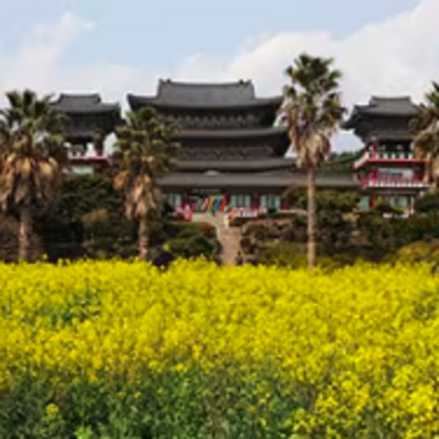 Tour of Jeju Island, South Korea