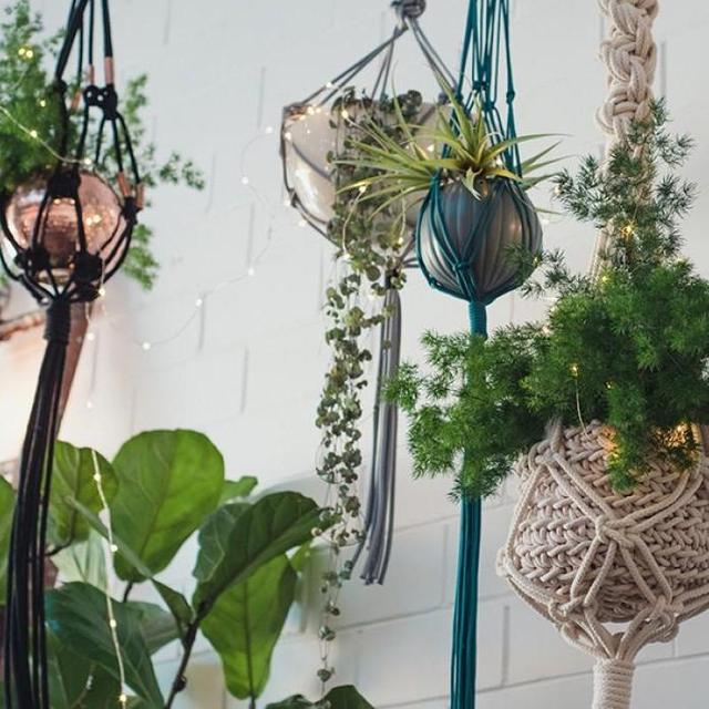 HOUSE PLANT FUND