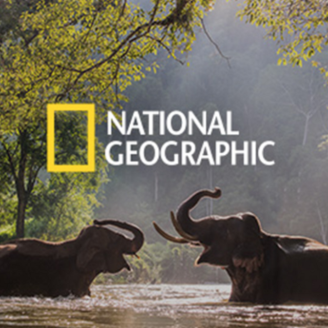 National Geographic - 1 Year, Print Subscription