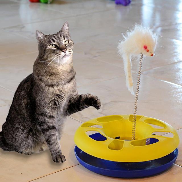 Cat Toys!!