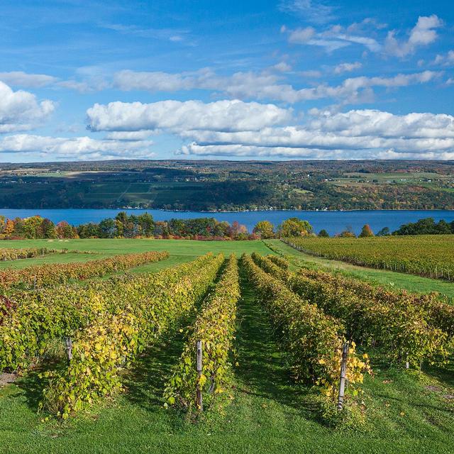 Finger Lakes