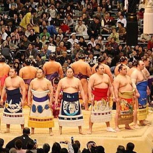 Japan Honeymoon - Tokyo Sumo Wrestling Tournament