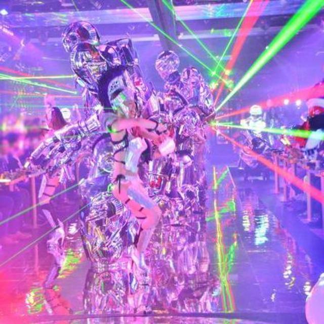 Japan Honeymoon - Tokyo Robot Evening Cabaret Show