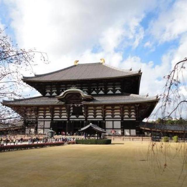 Japan Honeymoon - Kyoto and Nara Day Trip including Nijo Castle