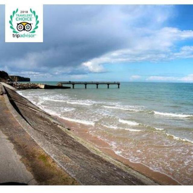1/2 day tour of Normandy Beaches ($83 a person)