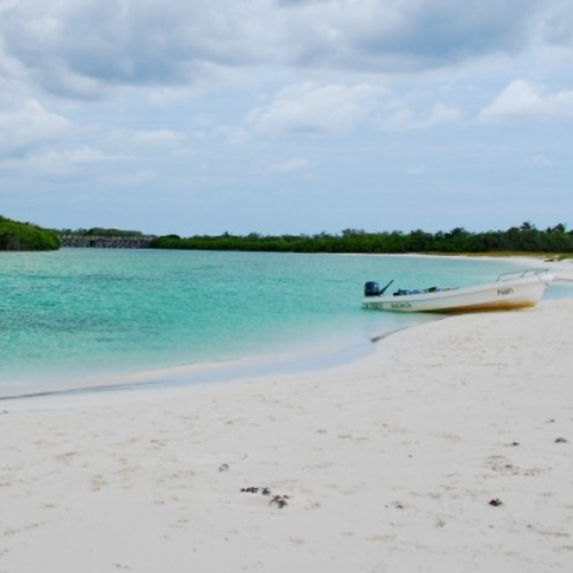 Day Entry & EcoTour at Sian Ka’an Biosphere