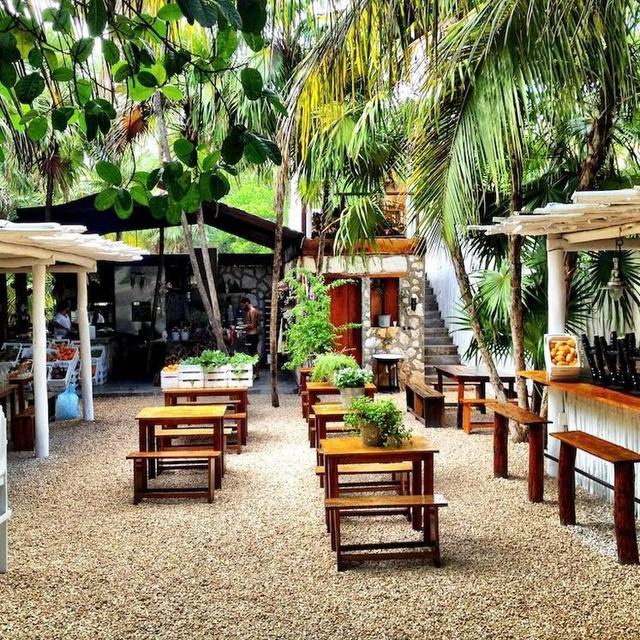 Fancy Dinner at Hartwood