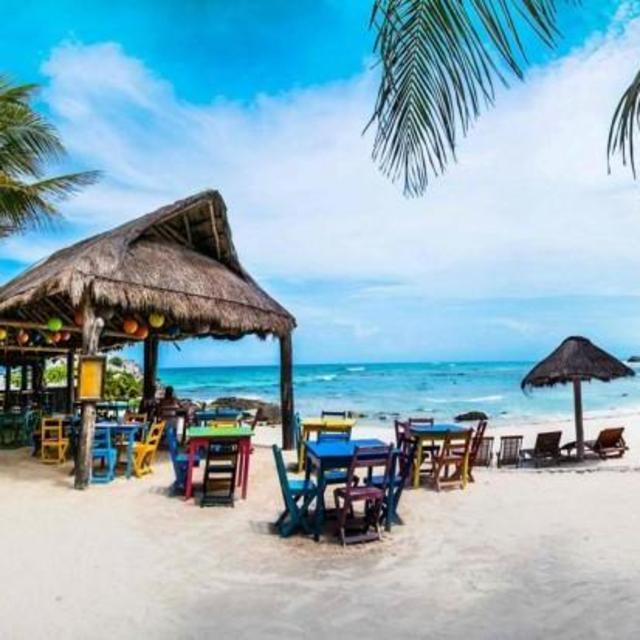 Lunch + Happy Hour at Zamas