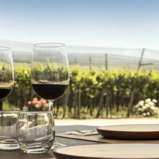 Wine Tasting in Napa