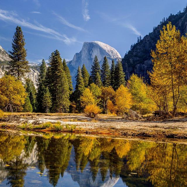 Camping Trip in Yosemite