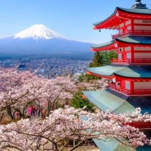Honeymoon in Japan
