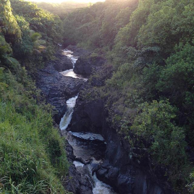 Lunch & Dinner on the Road to Hana