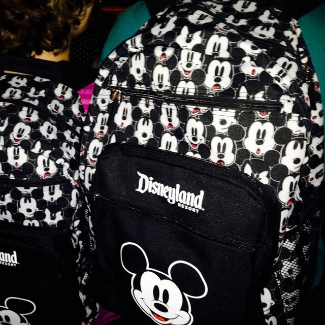 Disney Souvenirs & Snacks