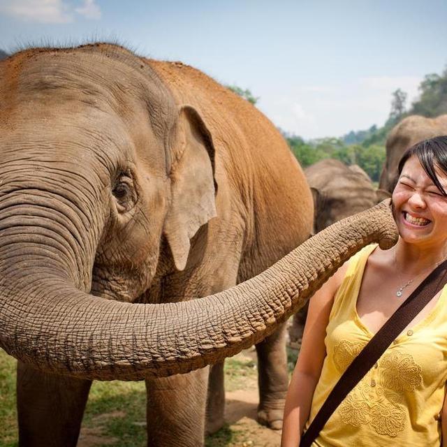 Thailand Elephant Overnight Excursion