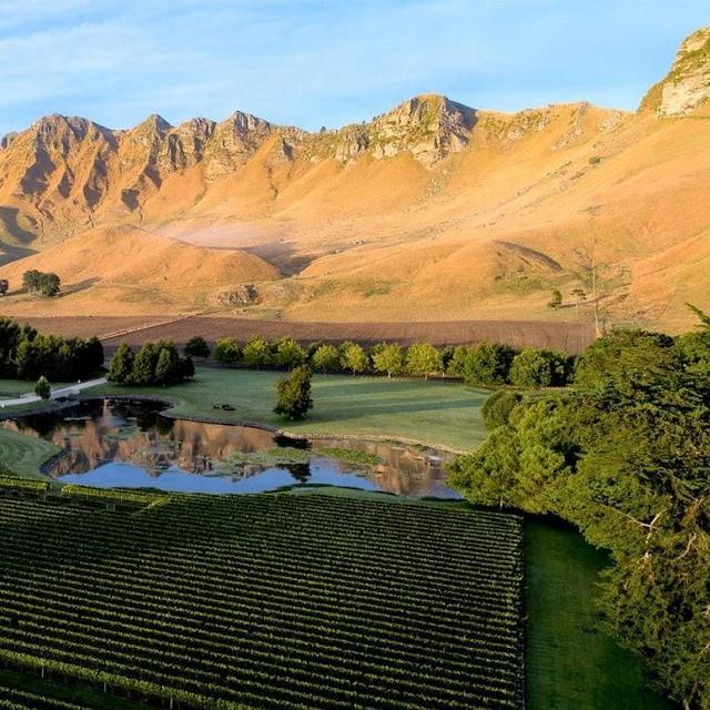 Wine Tasting in Central Otago
