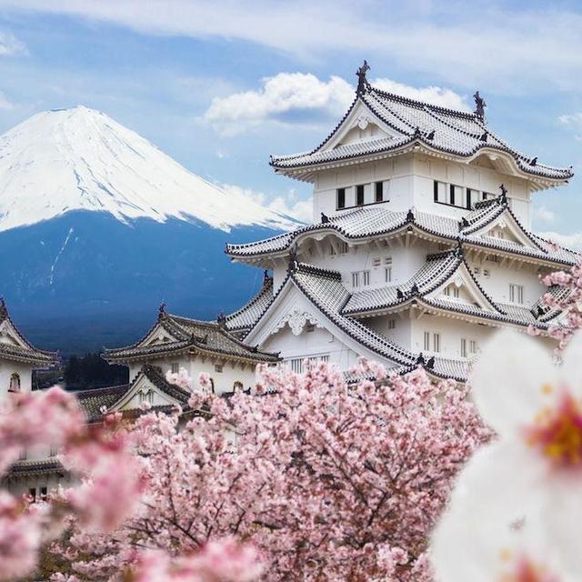 Our Honeymoon Fund to Japan