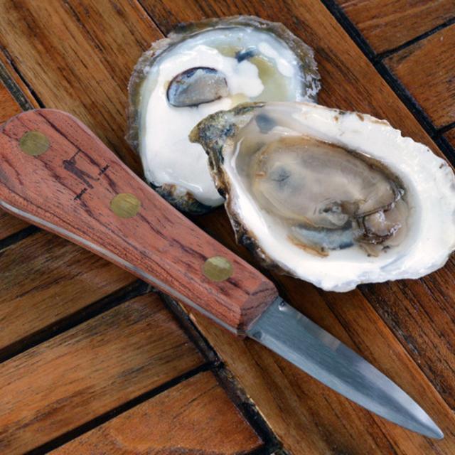 The "Roger" Oyster Shucker