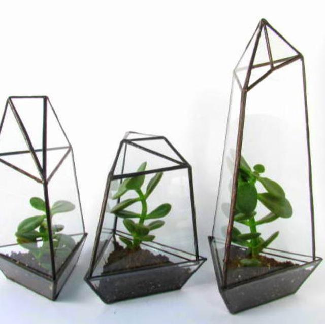 Geometric Glass Terrarium / Removable Tray / Indoor Planter
