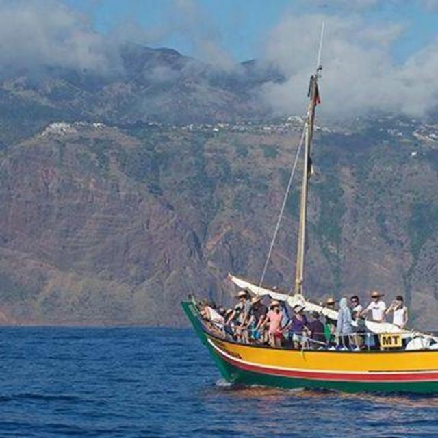 Honeymoon in Portugal: Whale & Dolphin Watching in Madeira