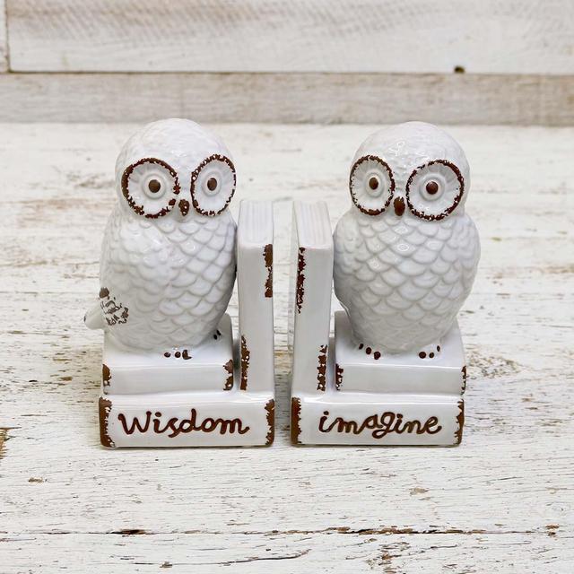Ceramic Owl Bookends