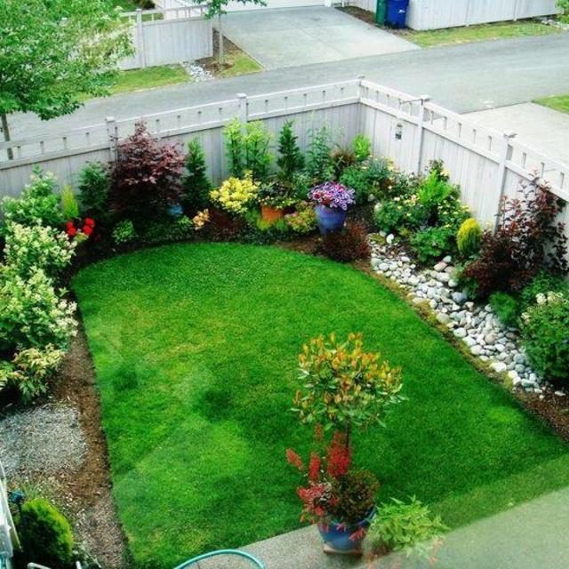 Landscape the back yard