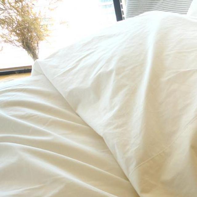 300 TC Organic Cotton Sateen Sheets--King Pillow Cases Set of 2