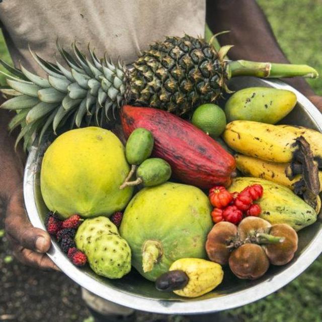 Our Honeymoon: Complete Culinary Tour