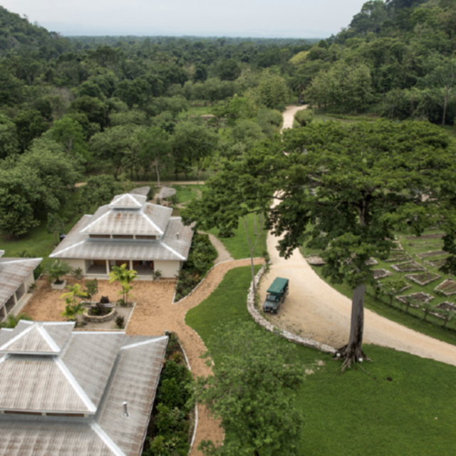 Our Honeymoon: Tree Lodge Stay