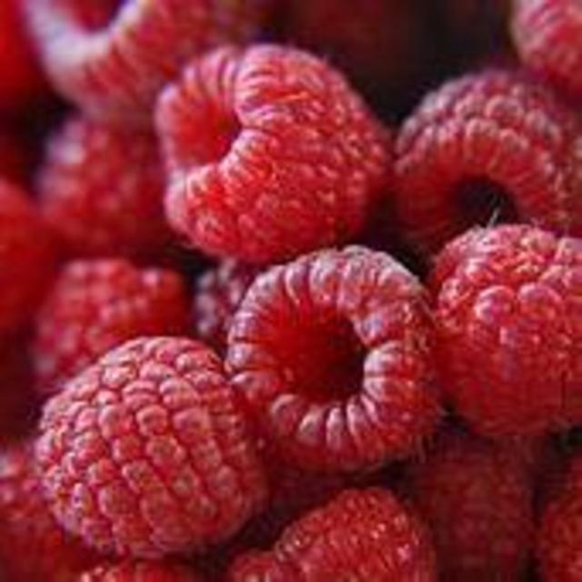 Two Raspberry Bushes