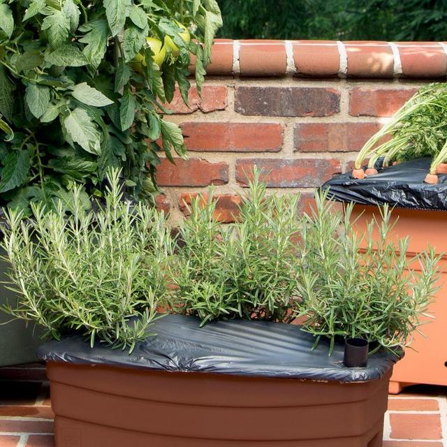 Earthboxes!