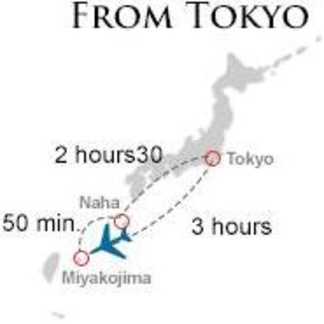 Miyakojima Snorkel Trip!