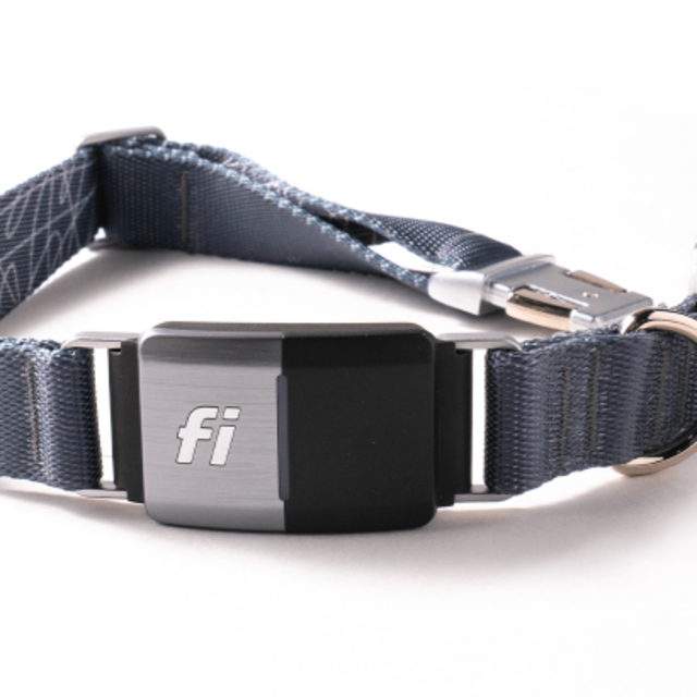 Fi Smart Dog Collar | Store