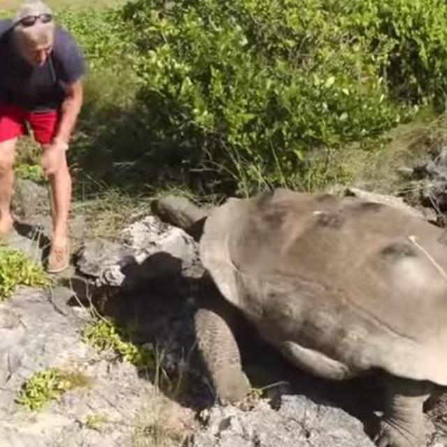 Day Trip to Curieuse Marine National Park to See the GIANT TORTOISES