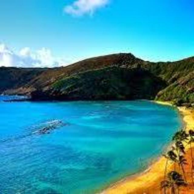 Honeymoon Fund (Honolulu an Maui)