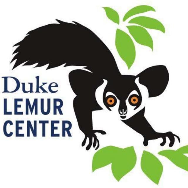 Lemur Tour