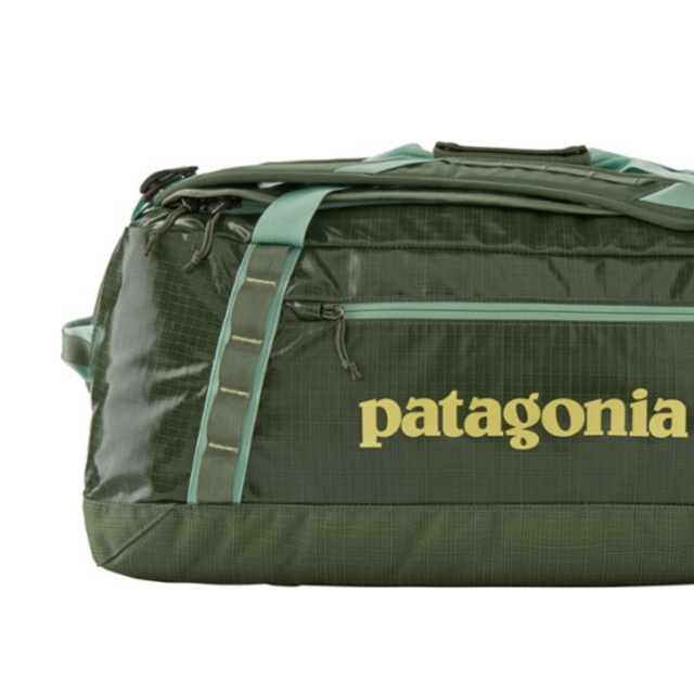 Patagonia Black Hole Duffel - 55L | REI Co-op