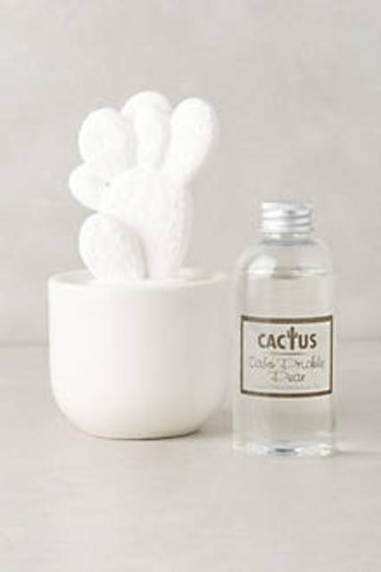 Cactus Porcelain Diffuser- Cabo Prickly Pear