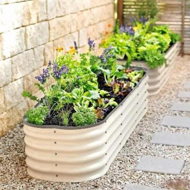 Raised Garden Beds