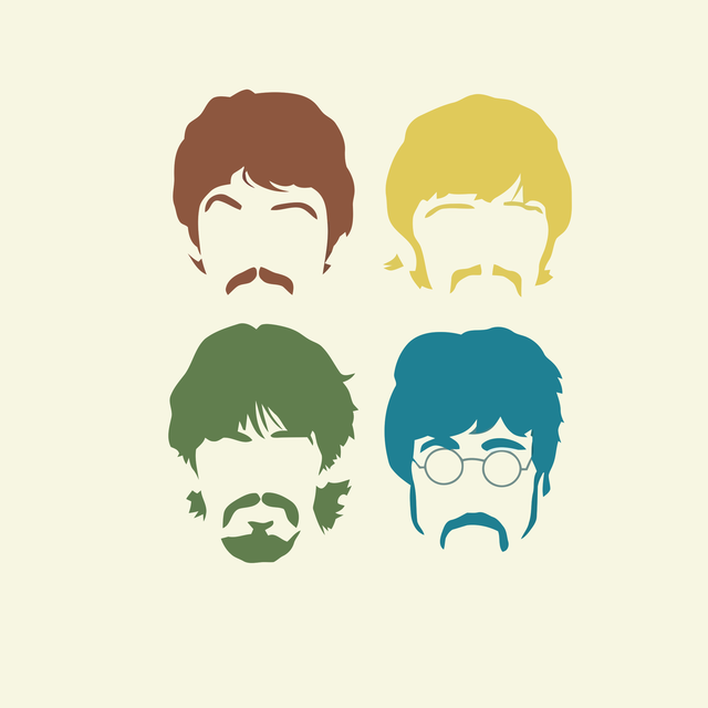 Paul McCartney Concert (Greenville, SC) - May 30