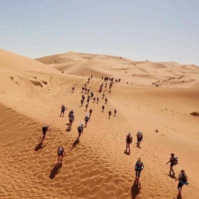 Race registration