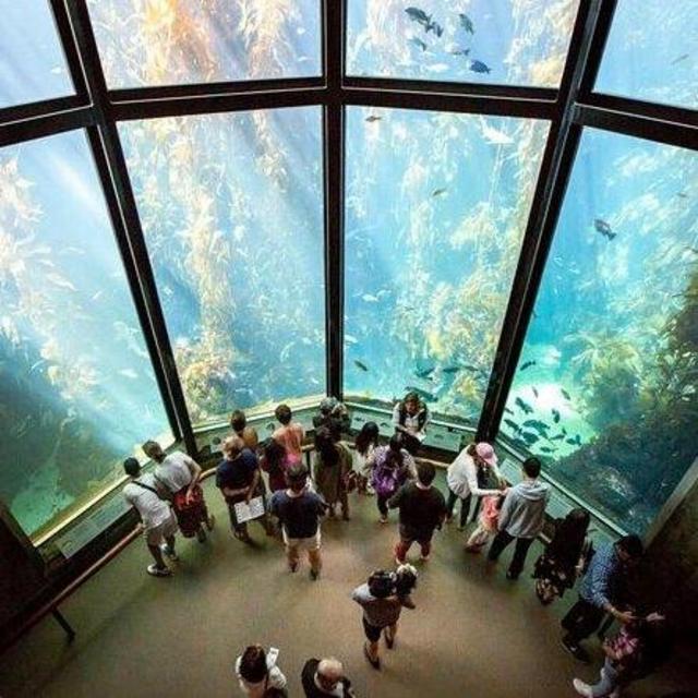 Visit to the Monterey Aquarium for Two
