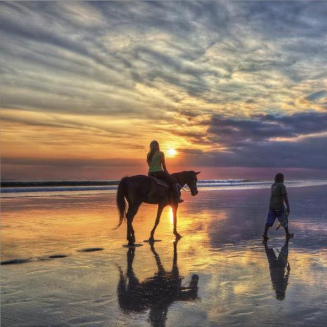 Beach Horseback Riding