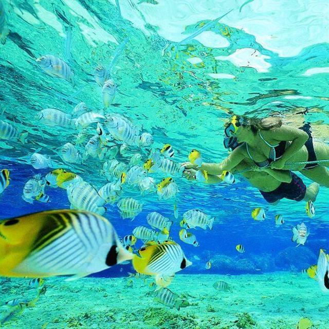 Snorkeling Excursion