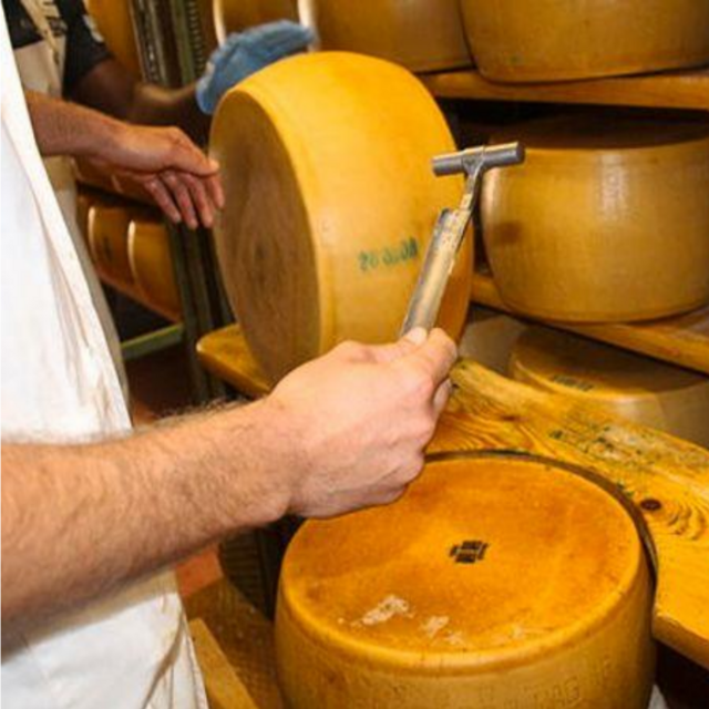 Parmigiano & Balsamic Tour - Honeymoon in Italy