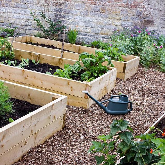 Backyard Fund: Raised Garden Beds