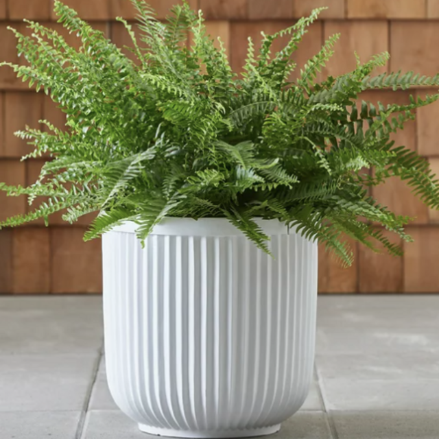 Better Homes & Gardens 16"W x 16"L x 15.8"H Ellan White Resin Plant Pot Planter