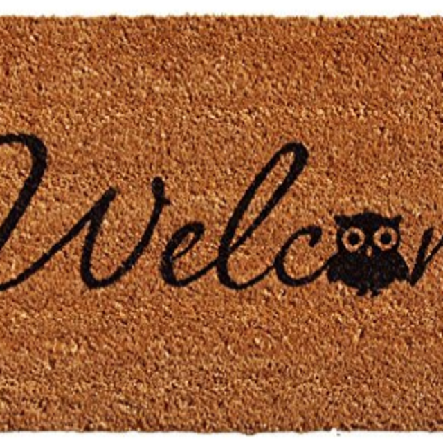 Large Welcome Owl Mat
