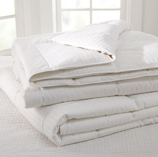 Classic Micromax™ Down-Alternative Duvet Insert Queen