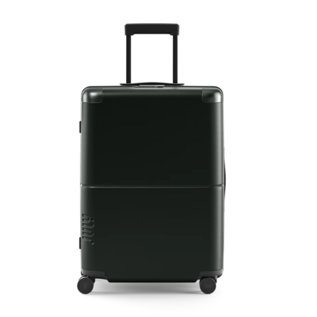Checked Luggage for Luis