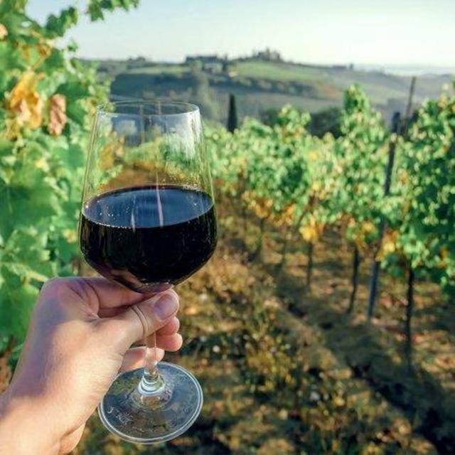 Wine Tasting in Italy